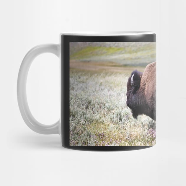 American Bison by heidiannemorris